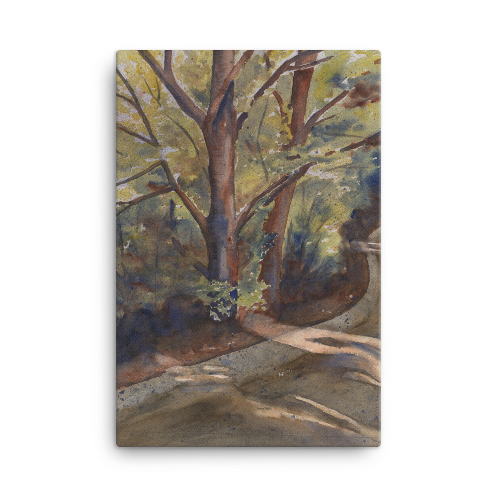 Trees Along Walkway - Image 4