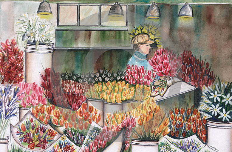 San Francisco Flower Shop Market, IntreXDesign